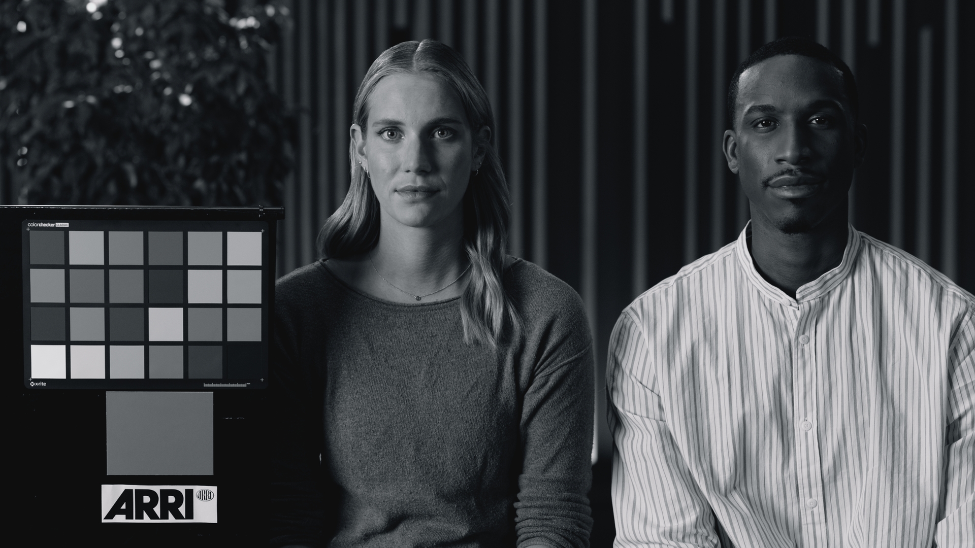 BR221383 Eureka Look Development 