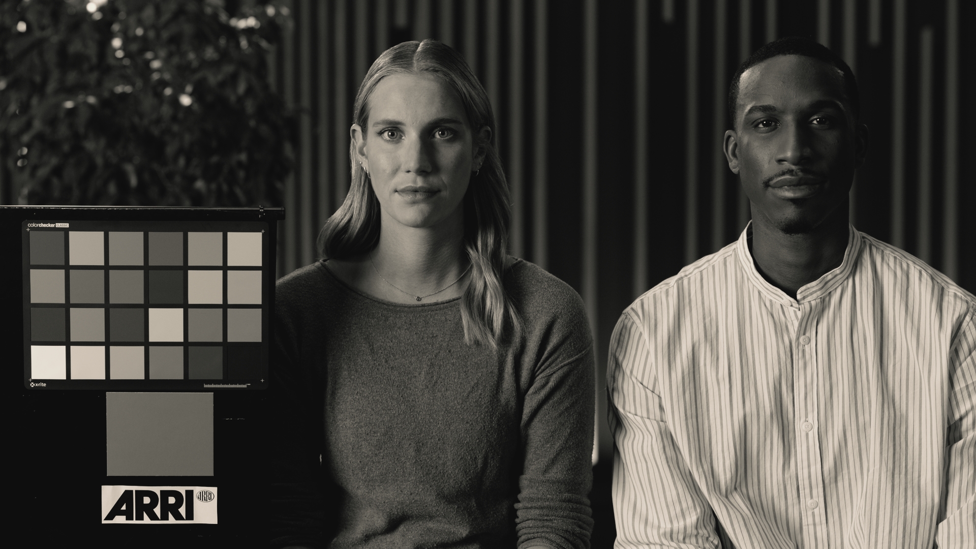 BR221383 Mojave Look Development 