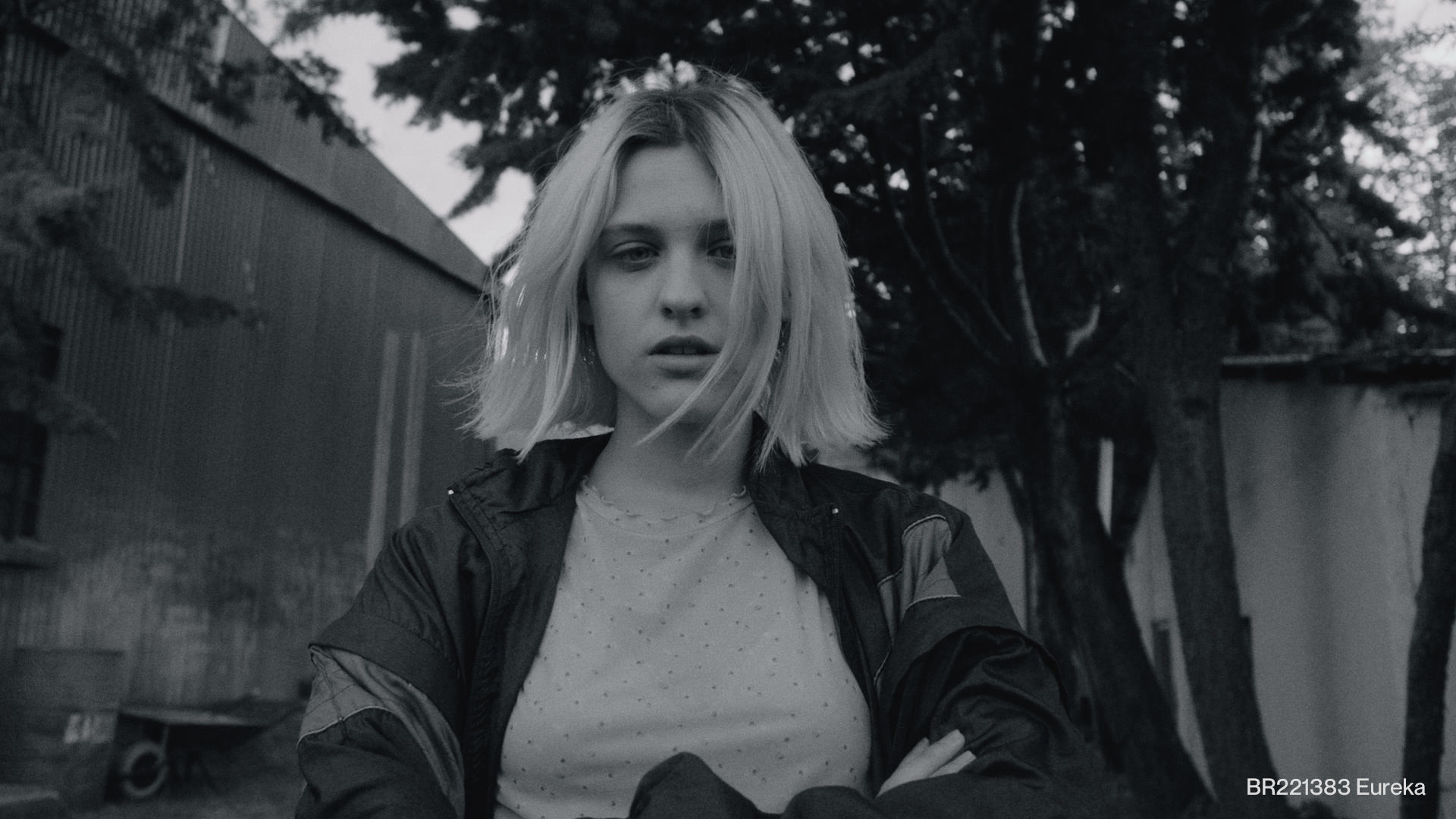 BR221383 Eureka Look Development