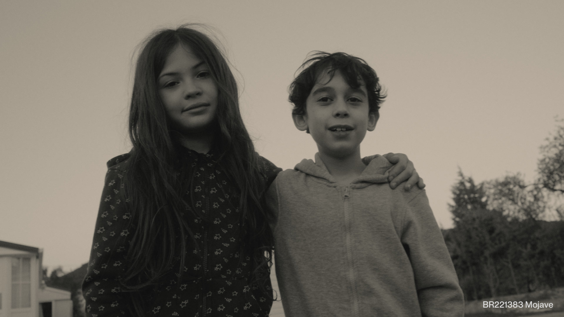 BR221383 Mojave Look Development 